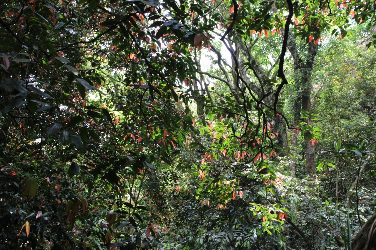 Hidden Heaven Hotell Coonoor Eksteriør bilde